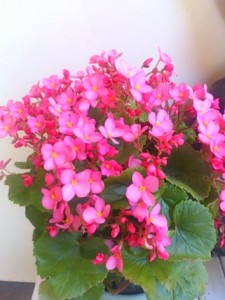 20130925120919442