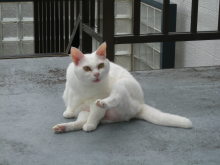 なに撮ってんのよ!