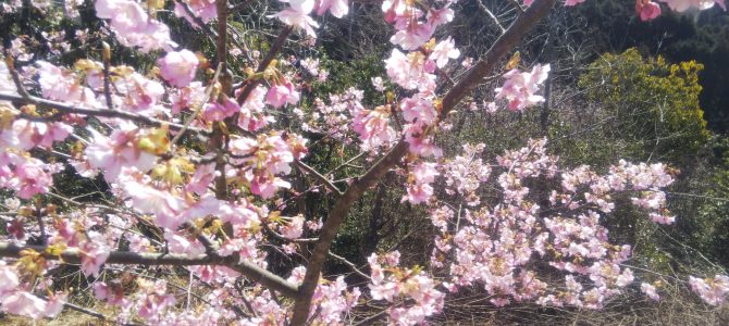 もうすぐ春 もうすぐ春