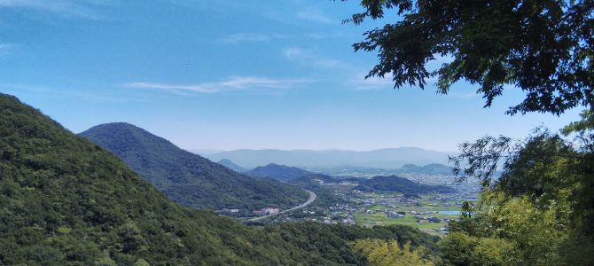 夏のダメージ毛に