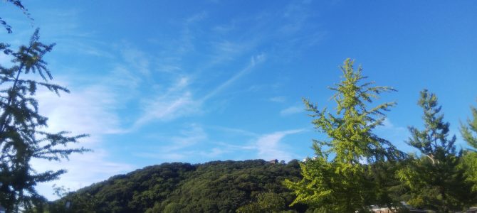 夏季休暇のお知らせ