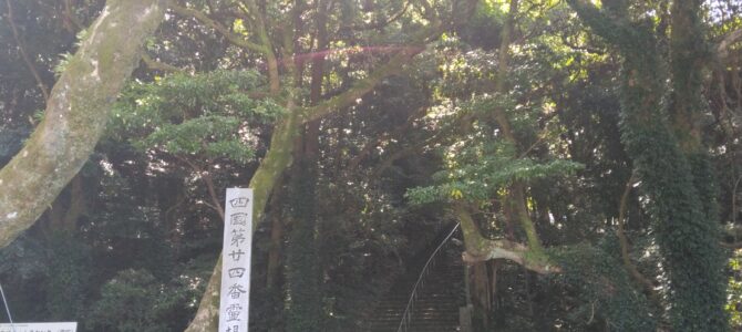 高知へ