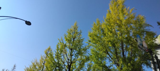 店内の秋