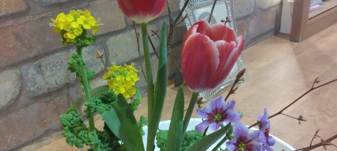 春のお花で