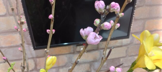 幸せと健康を願って