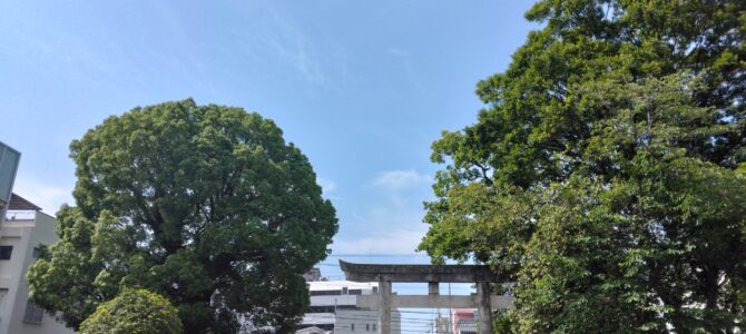 梅雨入り前に