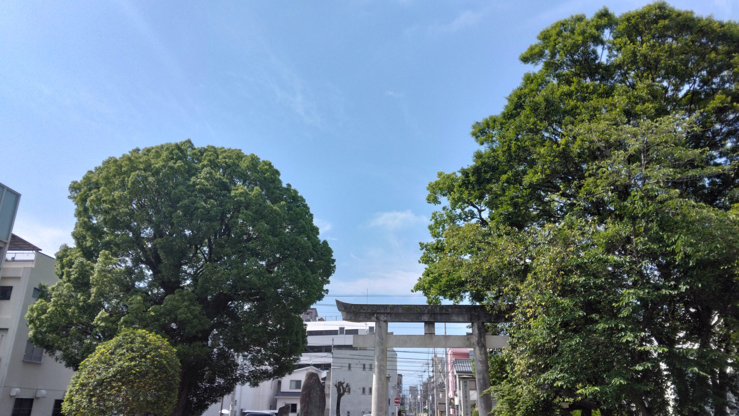 梅雨入り前に