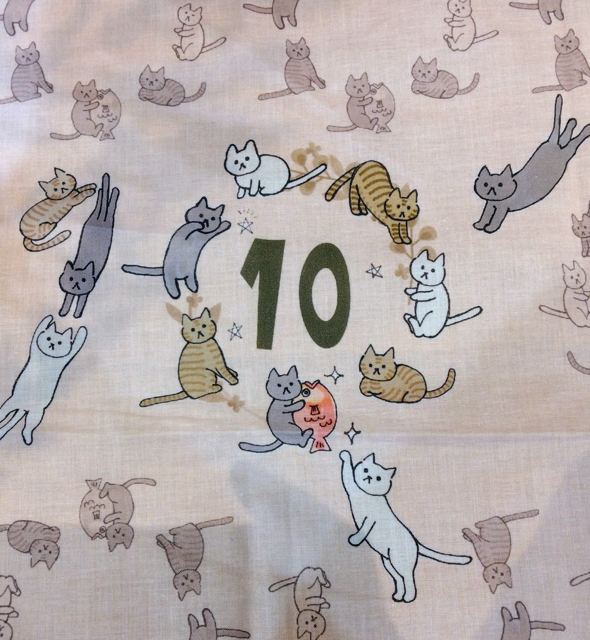 10周年のお祝いいただきました♪ 10周年のお祝いいただきました♪