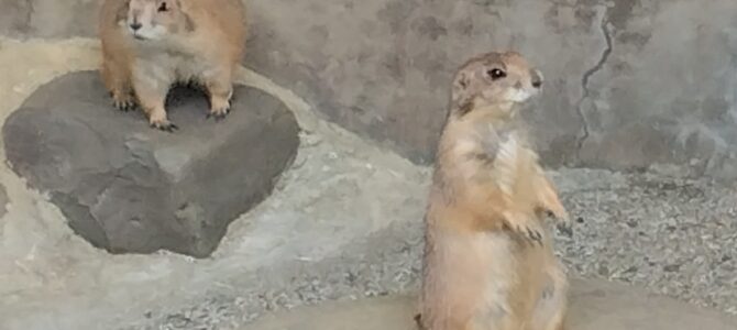 〇〇の秋
