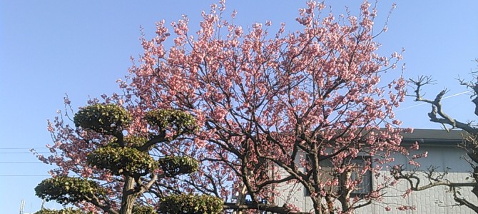 「カットが丁寧です」 「カットが丁寧です」