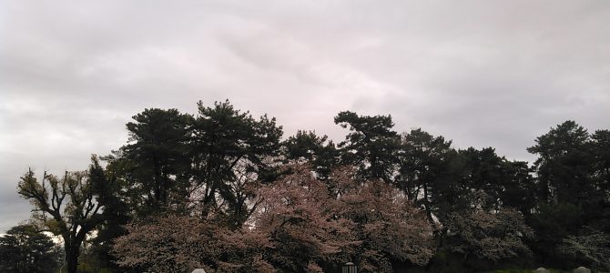 芦屋から