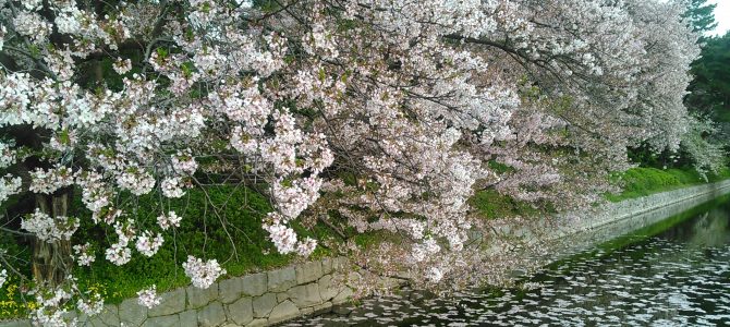 髪にも紫外線予防を